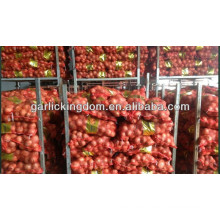 Nueva cebolla roja fresca / 20kg cebolla fresca / cebolla amarilla para la venta